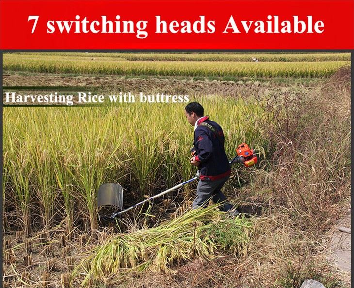 4 Stroke Backpack Brush Cutter