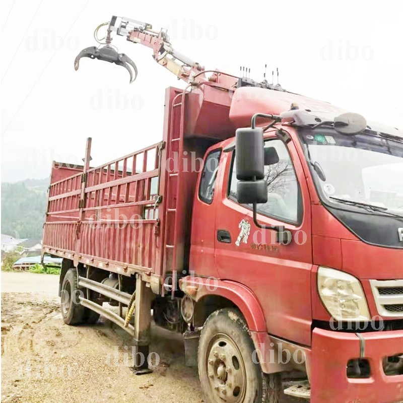 biggest truck mounted crane