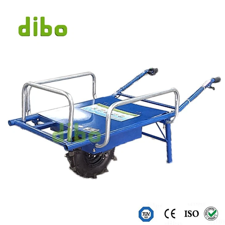 Self-Propelled Electric Cart